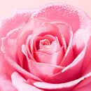 Nuxe Very Rose Gel Limpiador Calmante 150 ml