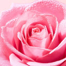 Nuxe Very Rose Exfoliante Suave 75 ml