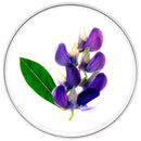 Phytocyane Tto Anticaida Mujer Caida Progresiva 12 Ampollas