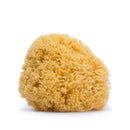 Canastilla Bebé Baby Care