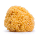 Suavinex Esponja Natural Grande