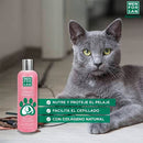 Menforsan Champú Muy Suave Gatos 300 ml