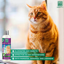 Menforsan Champú Anti Insectos Gatos 300 ml