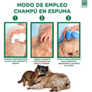 Menforsan Champú En Espuma Aloe Vera 300 ml