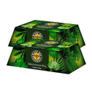 Black Bee Jalea Real Inmuno + Vit C 20 Ampollas Duplo